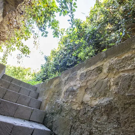 Le Saline マルサラ